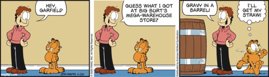 GARFIELD: Thanksgiving edition | image tagged in garfield | made w/ Imgflip meme maker