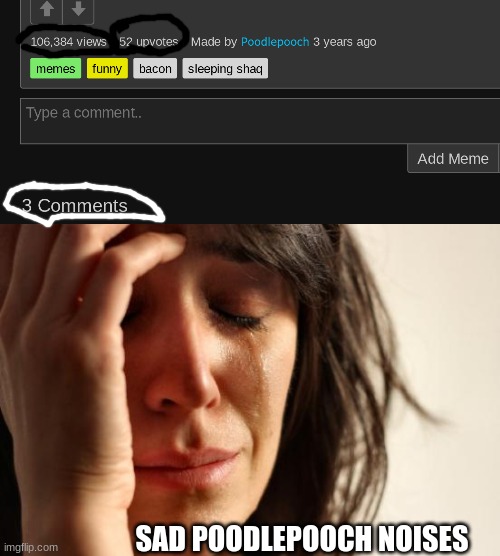 VIEWS COMMENTS AND UPS | SAD POODLEPOOCH NOISES | image tagged in memes,first world problems | made w/ Imgflip meme maker