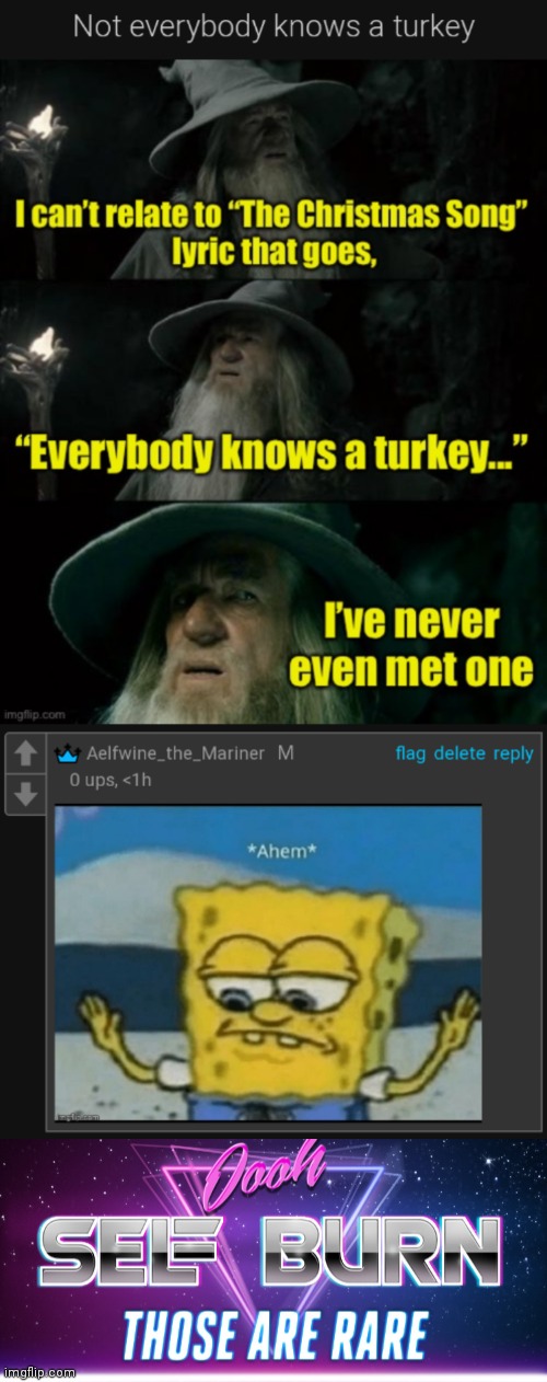 For you young'uns who don't get the joke: turkey is a slang word for someone who messes things up a lot. | image tagged in rare insults,self burn,i'm a turkey | made w/ Imgflip meme maker