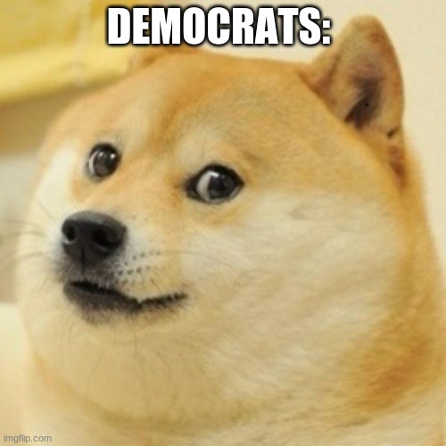 wow doge | DEMOCRATS: | image tagged in wow doge | made w/ Imgflip meme maker