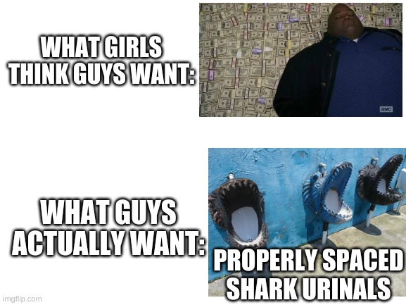 Blank White Template | WHAT GIRLS THINK GUYS WANT:; WHAT GUYS ACTUALLY WANT:; PROPERLY SPACED SHARK URINALS | image tagged in blank white template | made w/ Imgflip meme maker