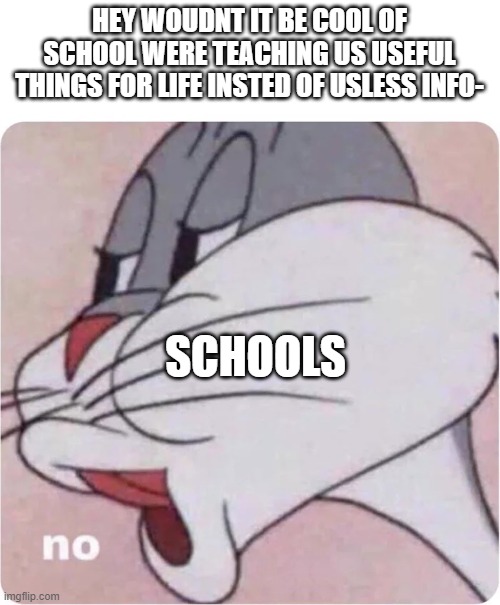 schools be like | HEY WOUDNT IT BE COOL OF SCHOOL WERE TEACHING US USEFUL THINGS FOR LIFE INSTED OF USLESS INFO-; SCHOOLS | image tagged in bugs bunny no,school | made w/ Imgflip meme maker