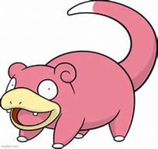 SLOWPOKE | image tagged in slowpoke | made w/ Imgflip meme maker