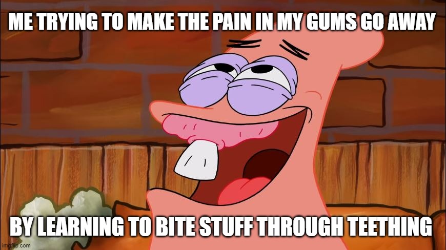 Teething Patrick Meme | ME TRYING TO MAKE THE PAIN IN MY GUMS GO AWAY; BY LEARNING TO BITE STUFF THROUGH TEETHING | image tagged in patrick star,spongebob squarepants,meme | made w/ Imgflip meme maker