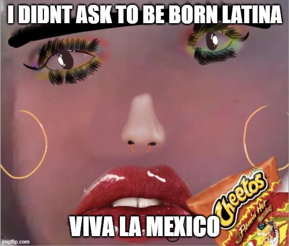 Latina David | I DIDNT ASK TO BE BORN LATINA; VIVA LA MEXICO | image tagged in latina,makeup,meme,hot,cheeto,girl | made w/ Imgflip meme maker
