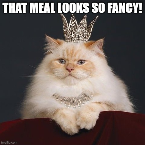 fancy cat | THAT MEAL LOOKS SO FANCY! | image tagged in fancy cat | made w/ Imgflip meme maker
