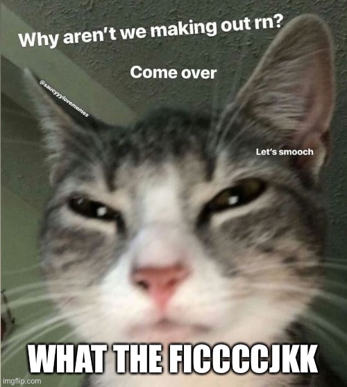 I JUST WANTED TO FIND WHOLESOME ONES NOT THIS KIND OF ONESO | WHAT THE FICCCCJKK | made w/ Imgflip meme maker