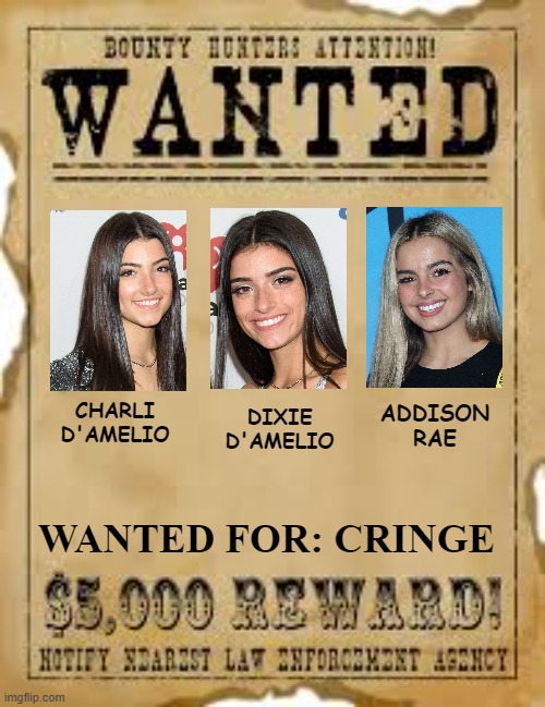 These are the most wanted criminals on our list | CHARLI D'AMELIO; DIXIE D'AMELIO; ADDISON RAE; WANTED FOR: CRINGE | image tagged in memes,america's most wanted | made w/ Imgflip meme maker