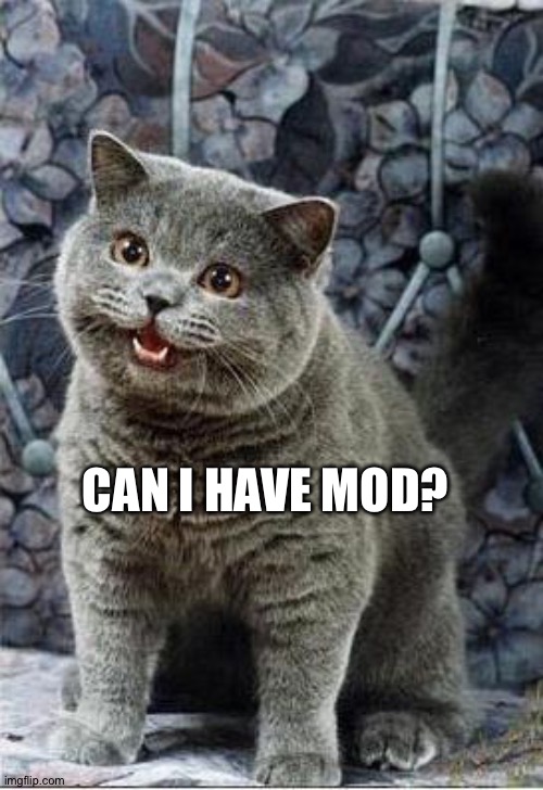 E | CAN I HAVE MOD? | image tagged in i can has cheezburger cat | made w/ Imgflip meme maker