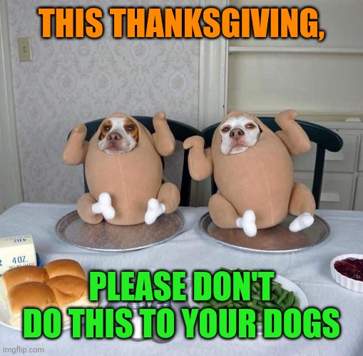 Turkey Dogs | THIS THANKSGIVING, PLEASE DON'T DO THIS TO YOUR DOGS | image tagged in thanksgiving,turkey,dogs,funny,costumes | made w/ Imgflip meme maker