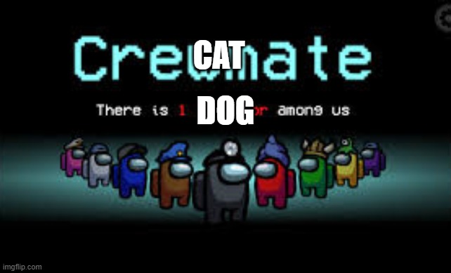 There is 1 imposter among us | CAT; DOG | image tagged in there is 1 imposter among us | made w/ Imgflip meme maker