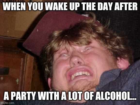 sdafa | WHEN YOU WAKE UP THE DAY AFTER; A PARTY WITH A LOT OF ALCOHOL... | image tagged in memes,wtf | made w/ Imgflip meme maker