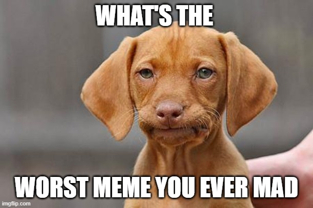 Dissapointed puppy | WHAT'S THE; WORST MEME YOU EVER MAD | image tagged in dissapointed puppy | made w/ Imgflip meme maker