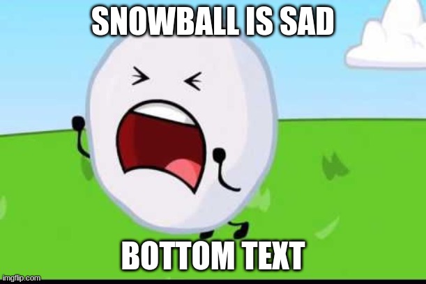 BFDI Snowball NOOOOO | SNOWBALL IS SAD; BOTTOM TEXT | image tagged in bfdi snowball nooooo | made w/ Imgflip meme maker