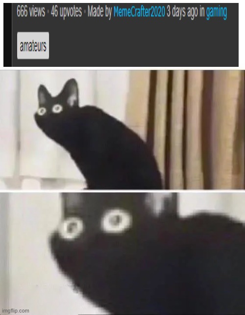 O NO | image tagged in oh no black cat | made w/ Imgflip meme maker