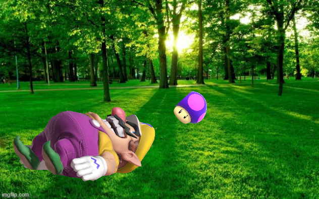 wario eats a poision mushroom and dies.mp3 | image tagged in grass and trees | made w/ Imgflip meme maker