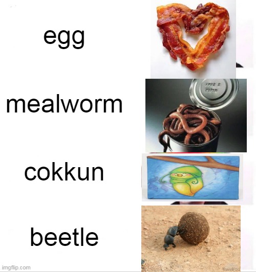 i dont even know what to name this | egg; mealworm; cokkun; beetle | image tagged in memes,clown applying makeup | made w/ Imgflip meme maker