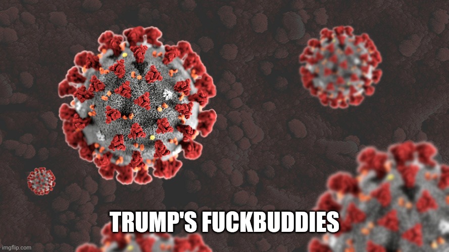 Coronavirus | TRUMP'S FUCKBUDDIES | image tagged in coronavirus | made w/ Imgflip meme maker