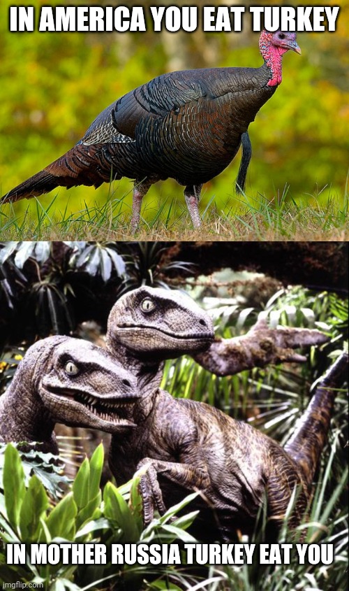 Turkey | IN AMERICA YOU EAT TURKEY; IN MOTHER RUSSIA TURKEY EAT YOU | image tagged in velociraptor | made w/ Imgflip meme maker