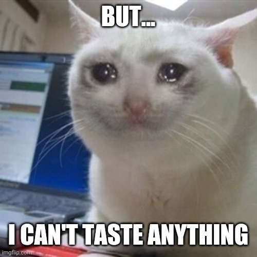 Crying cat | BUT... I CAN'T TASTE ANYTHING | image tagged in crying cat | made w/ Imgflip meme maker