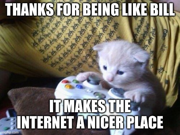 cute kitty on xbox | THANKS FOR BEING LIKE BILL IT MAKES THE INTERNET A NICER PLACE | image tagged in cute kitty on xbox | made w/ Imgflip meme maker