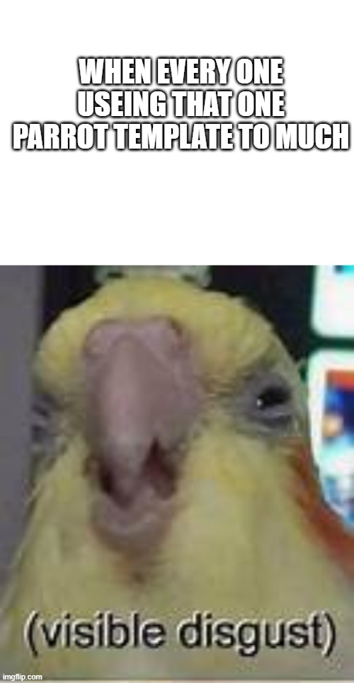 WHEN EVERY ONE USEING THAT ONE PARROT TEMPLATE TO MUCH | image tagged in blank white template,visible disgust | made w/ Imgflip meme maker