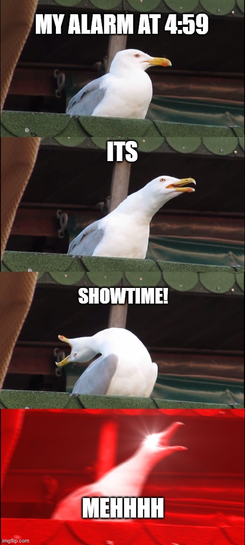 This should relate to most | MY ALARM AT 4:59; ITS; SHOWTIME! MEHHHH | image tagged in memes,inhaling seagull,relatable,funny | made w/ Imgflip meme maker