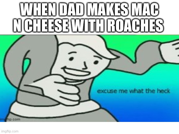 Why | WHEN DAD MAKES MAC N CHEESE WITH ROACHES | image tagged in excuse me what the heck | made w/ Imgflip meme maker