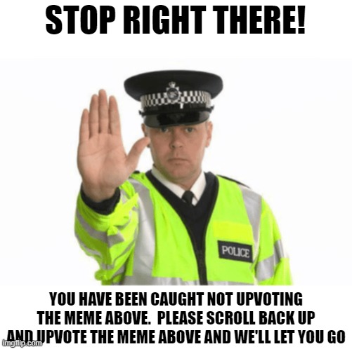 STOP RIGHT THERE! YOU HAVE BEEN CAUGHT NOT UPVOTING THE MEME ABOVE.  PLEASE SCROLL BACK UP AND UPVOTE THE MEME ABOVE AND WE'LL LET YOU GO | image tagged in memes,stop right there | made w/ Imgflip meme maker