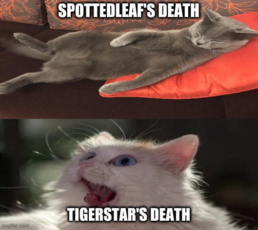 Tigerstar is such a good actor | SPOTTEDLEAF'S DEATH; TIGERSTAR'S DEATH | image tagged in cat,death,warriors,erin hunter,books,dramatic | made w/ Imgflip meme maker
