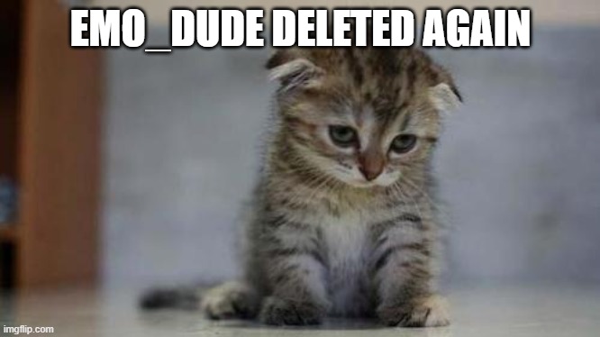 Sad kitten | EMO_DUDE DELETED AGAIN | image tagged in sad kitten | made w/ Imgflip meme maker