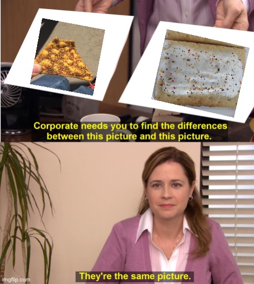 They're The Same Picture Meme | image tagged in memes,they're the same picture | made w/ Imgflip meme maker