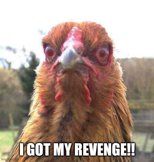 revenge chicken | I GOT MY REVENGE!! | image tagged in revenge chicken | made w/ Imgflip meme maker