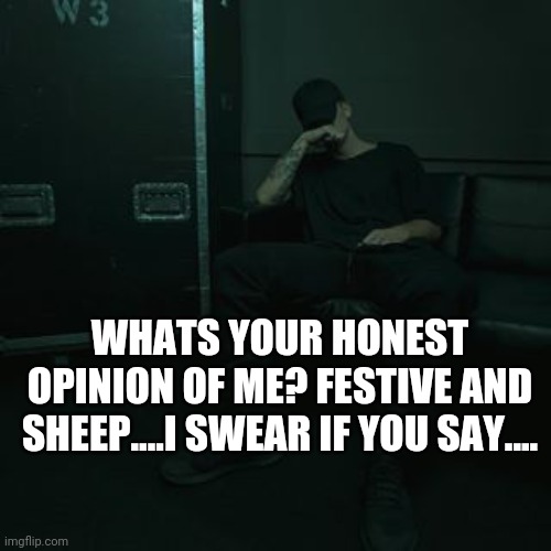No one call me cute | WHATS YOUR HONEST OPINION OF ME? FESTIVE AND SHEEP....I SWEAR IF YOU SAY.... | image tagged in nfs chilling | made w/ Imgflip meme maker