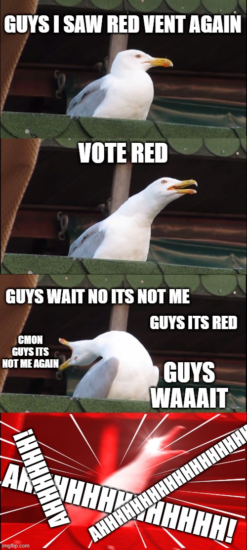 Inhaling Seagull Meme | GUYS I SAW RED VENT AGAIN; VOTE RED; GUYS WAIT NO ITS NOT ME; GUYS ITS RED; CMON GUYS ITS NOT ME AGAIN; GUYS WAAAIT; AHHHHHHHHHHHHHHHHHHHHHH! AHHHHHH! AHHHHHHHHHHHHH! | image tagged in memes,inhaling seagull | made w/ Imgflip meme maker