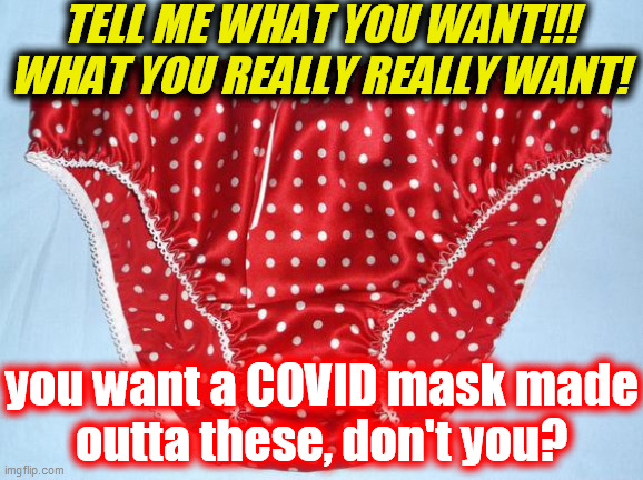 TELL ME WHAT YOU WANT!!!
WHAT YOU REALLY REALLY WANT! you want a COVID mask made
outta these, don't you? | made w/ Imgflip meme maker