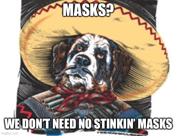 No Mask Bandito | MASKS? WE DON’T NEED NO STINKIN’ MASKS | image tagged in mexico | made w/ Imgflip meme maker