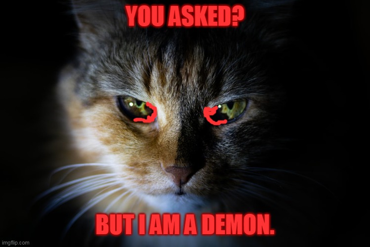 devil neko | YOU ASKED? BUT I AM A DEMON. | image tagged in cat,devil | made w/ Imgflip meme maker