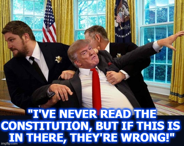 Say goodnight, Donnie. | "I'VE NEVER READ THE CONSTITUTION, BUT IF THIS IS 
IN THERE, THEY'RE WRONG!" | image tagged in trump,presidency,it's over,it's okay | made w/ Imgflip meme maker