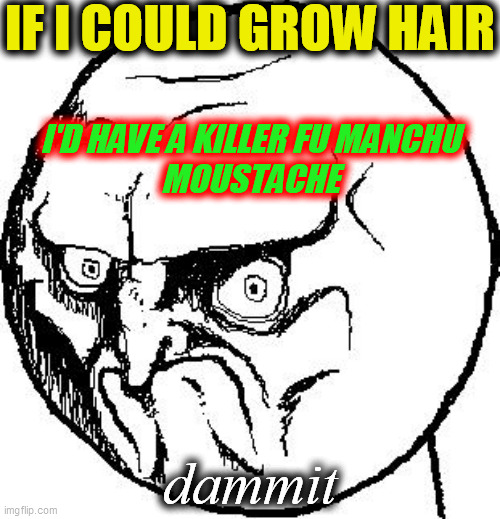 A. Killer. Fu. Manchu. | IF I COULD GROW HAIR; I'D HAVE A KILLER FU MANCHU
MOUSTACHE; dammit | image tagged in no rage face,moustache,fu manchu,killer stash,if i could grow hair | made w/ Imgflip meme maker