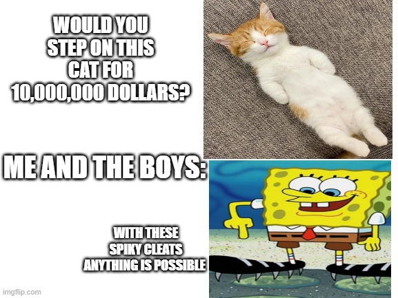 Would you? | WOULD YOU STEP ON THIS CAT FOR 10,000,000 DOLLARS? ME AND THE BOYS:; WITH THESE SPIKY CLEATS ANYTHING IS POSSIBLE | image tagged in memes,step on the cat | made w/ Imgflip meme maker