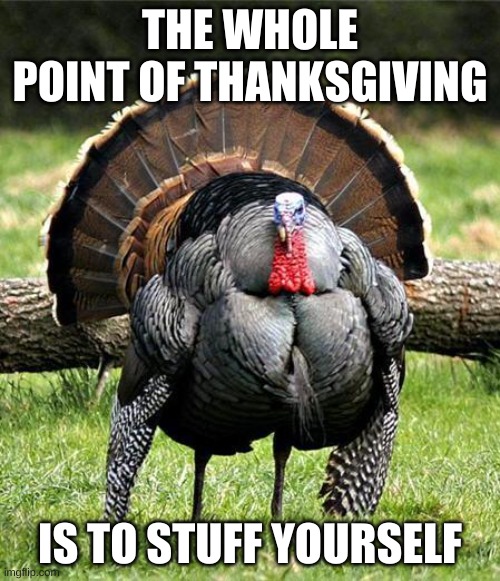 Thanksgiving | THE WHOLE POINT OF THANKSGIVING; IS TO STUFF YOURSELF | image tagged in fat turkey | made w/ Imgflip meme maker
