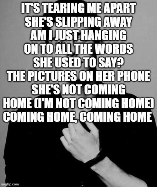 Shawn Mendes | IT'S TEARING ME APART
SHE'S SLIPPING AWAY
AM I JUST HANGING ON TO ALL THE WORDS SHE USED TO SAY?
THE PICTURES ON HER PHONE
SHE'S NOT COMING HOME (I'M NOT COMING HOME)
COMING HOME, COMING HOME | image tagged in shawn mendes | made w/ Imgflip meme maker