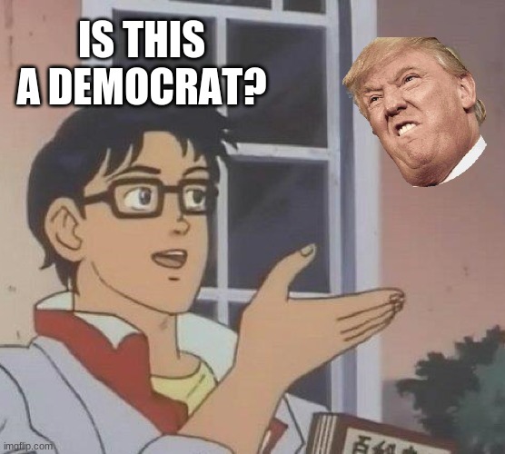 is this a democrat? | IS THIS A DEMOCRAT? | image tagged in memes,is this a pigeon | made w/ Imgflip meme maker