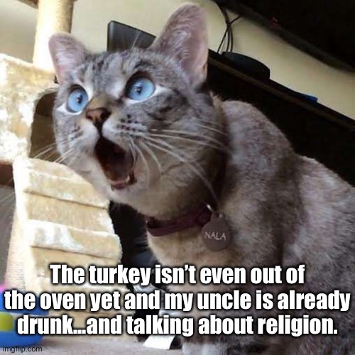 Lay Off the Sauce Uncle Ed | The turkey isn’t even out of the oven yet and my uncle is already drunk...and talking about religion. | image tagged in funny memes,funny cat memes,funny,funny cats,thanksgiving | made w/ Imgflip meme maker
