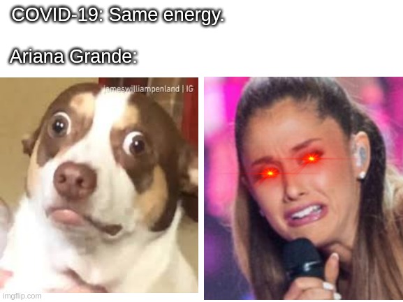 Same Energy Ariana Grande | COVID-19: Same energy.                                
 
Ariana Grande: | image tagged in memes,ariana grande | made w/ Imgflip meme maker