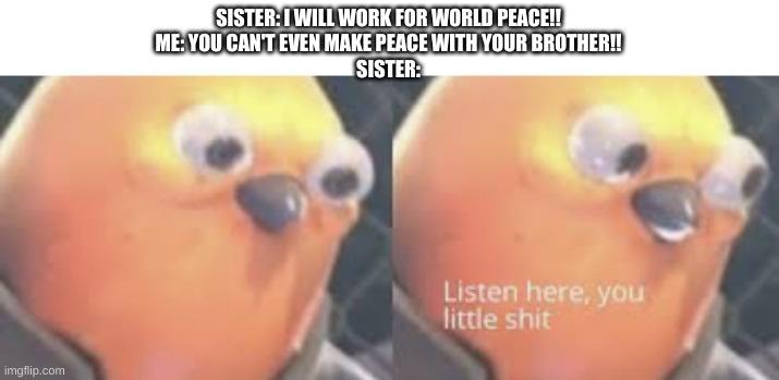 Peace | SISTER: I WILL WORK FOR WORLD PEACE!!
ME: YOU CAN'T EVEN MAKE PEACE WITH YOUR BROTHER!!
SISTER: | image tagged in listen here you little shit bird,world peace,siblings | made w/ Imgflip meme maker