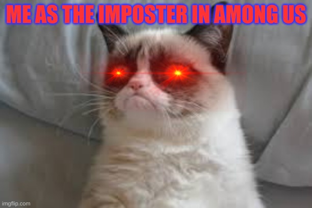 Grumpy cat | ME AS THE IMPOSTER IN AMONG US | image tagged in grumpy cat | made w/ Imgflip meme maker