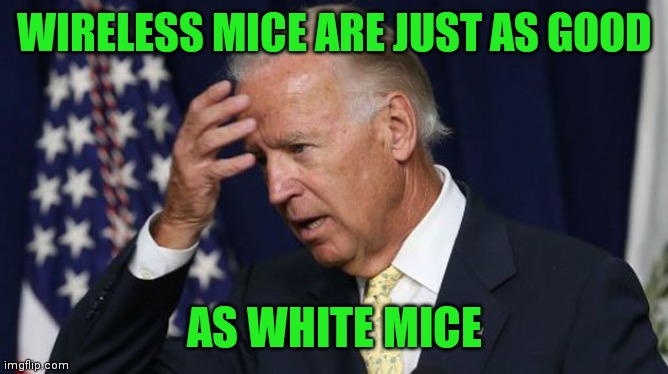 Joe Biden worries | WIRELESS MICE ARE JUST AS GOOD AS WHITE MICE | image tagged in joe biden worries | made w/ Imgflip meme maker