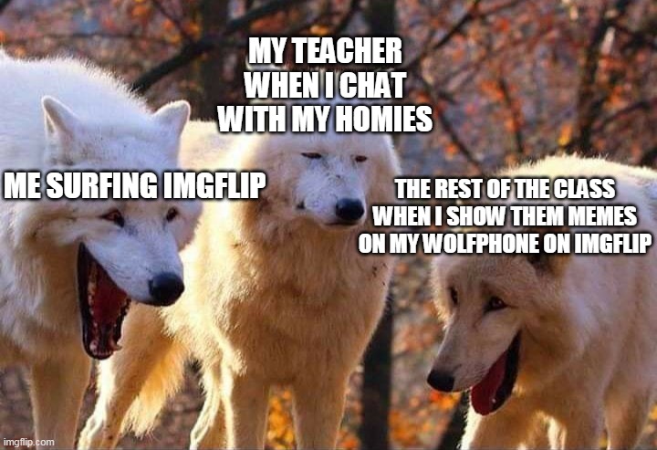 Laughing wolf | MY TEACHER WHEN I CHAT WITH MY HOMIES; ME SURFING IMGFLIP; THE REST OF THE CLASS WHEN I SHOW THEM MEMES ON MY WOLFPHONE ON IMGFLIP | image tagged in laughing wolf | made w/ Imgflip meme maker